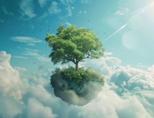 Nachhaltigkeit als Beruhigungspille?